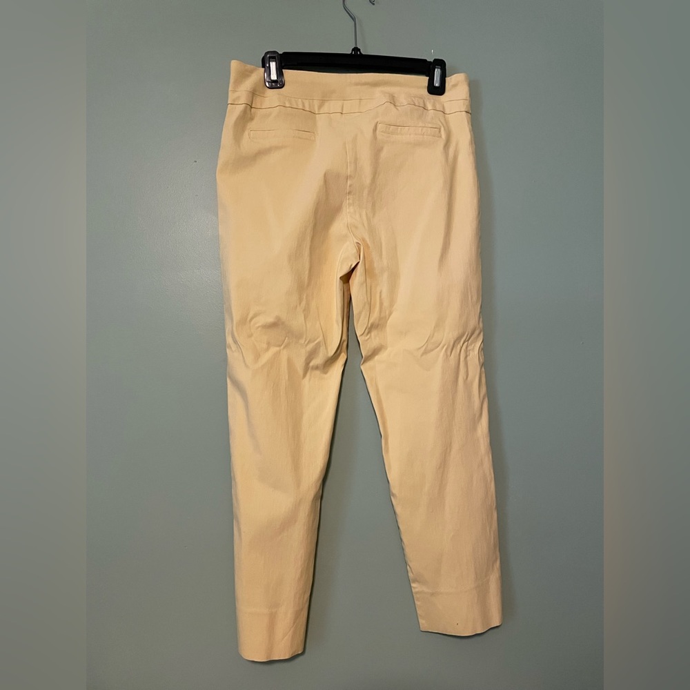 Renuar Size 10 Skinny Pull-On Pants